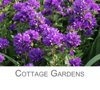 Cottage Style Gardens
