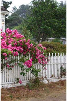 Cottage Garden Fences