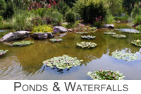 Garden Ponds and Waterfalls