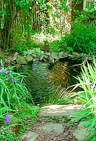 Preformed Garden Ponds