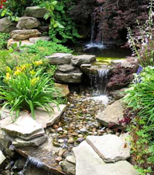 rock garden around pool