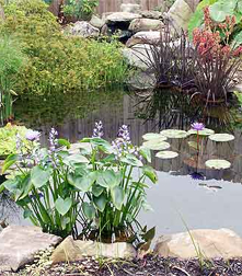 Cottage Garden Ponds Cottage Style Gardens Cottage Gardens